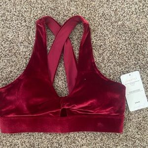 Burgundy Fabletics Sports Bra